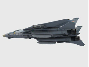 Grumman F-14 Tomcat Modelo 3D