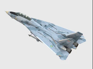 Grumman F-14 Tomcat Modelo 3D