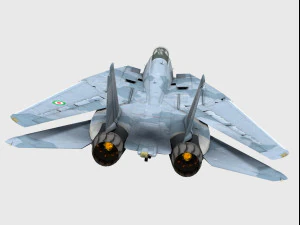 Grumman F-14 Tomcat Modelo 3D