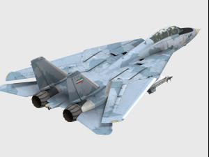 grumman f-14 tomcat 3D Model