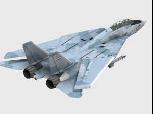 Grumman F-14 Tomcat Modelo 3D
