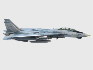 grumman f-14 tomcat 3D Model