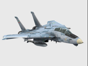 grumman f-14 tomcat 3D Model