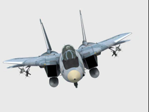 Grumman F-14 Tomcat Modelo 3D