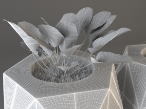 plant 3D Model