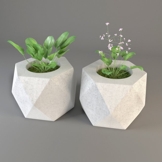 plant 3D Model .c4d .max .obj .3ds .fbx .stl .blend 