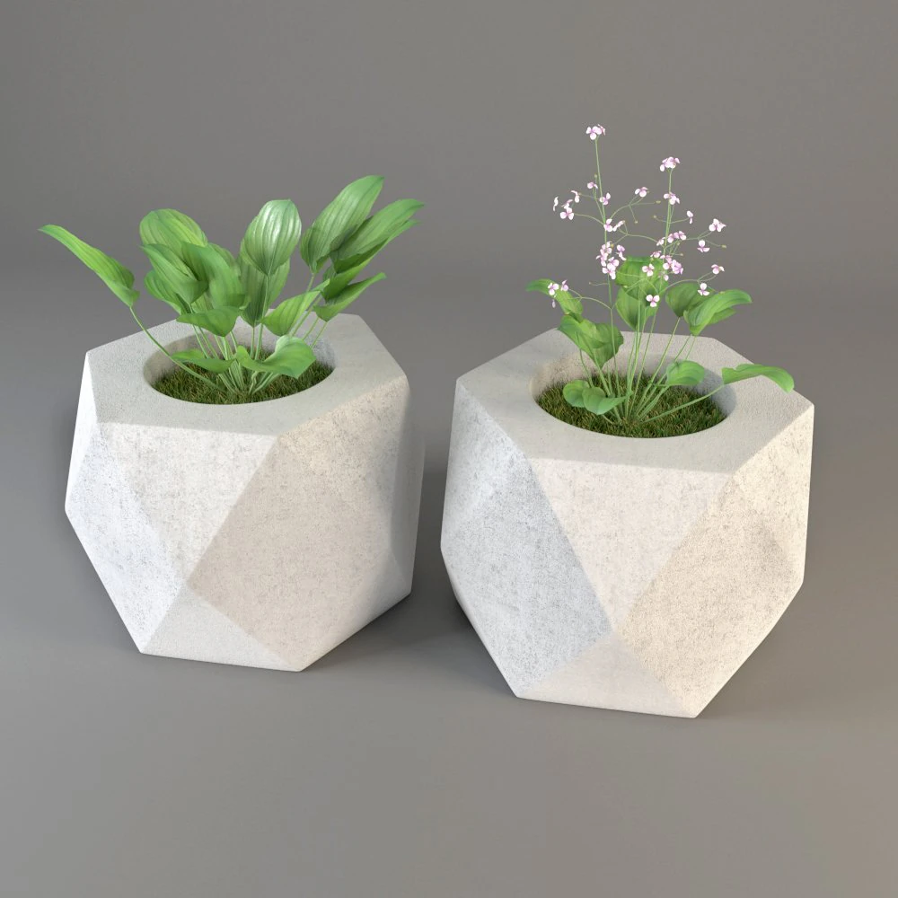 plant 3D Model .c4d .max .obj .3ds .fbx .stl .blend 
