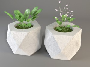 plant 3D Model