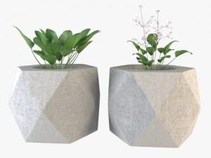 plant 3D Model