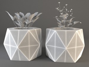 plant 3D Model