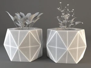plant 3D Model