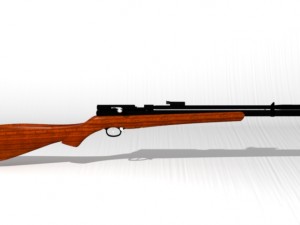airpsp rifle Model 3D