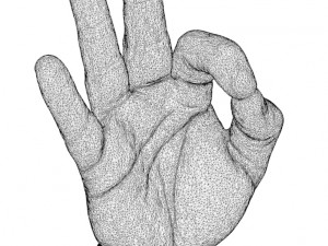 hand ok 3D Модель