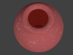 soil water pot 3D Модель
