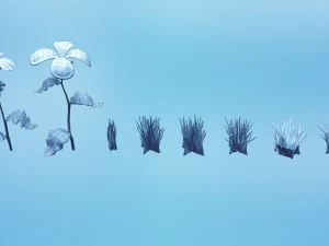 low poly models of flowers and herbs 3D Model
