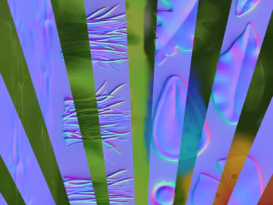 low poly models of flowers and herbs 3D Model