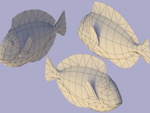 fish paracanthurus hepatus low-poly Modelo 3D
