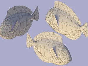 риба paracanthurus hepatus low-poly 3D Модель
