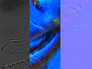 риба paracanthurus hepatus low-poly 3D Модель