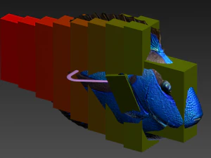 риба paracanthurus hepatus low-poly 3D Модель