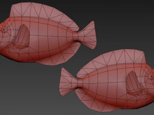 риба paracanthurus hepatus low-poly 3D Модель
