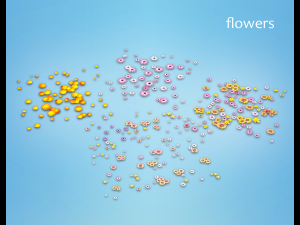 flowers and plants are low poly 25 objects 3D Model