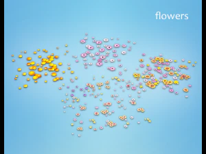 flowers and plants are low poly 25 objects 3D Model