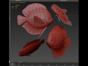disque de poisson Modèle 3D