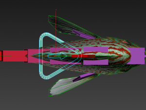 fish discus 3D Model