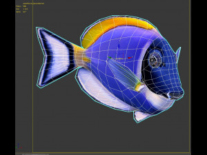 Acanthurus Leucosternon Low-poly Modèle 3D