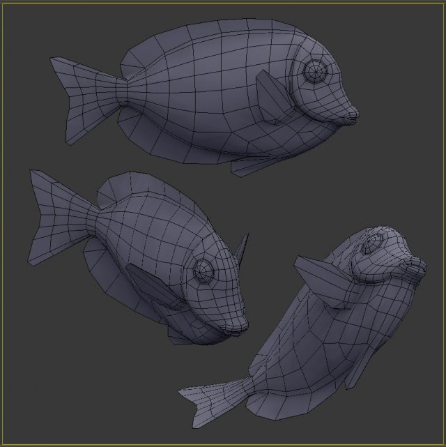 Download Acanthurus Leucosternon Low-poly 3D Model