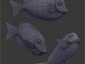 Acanthurus Leucosternon Low-poly Modèle 3D
