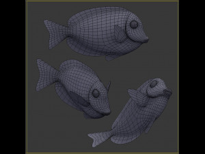 Acanthurus Leucosternon Low-poly Modèle 3D