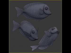 Acanthurus Leucosternon Low-poly 3D Model
