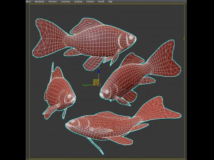 Fish Cyprinus Carpio Low-poly 3D Model