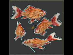 Fish Cyprinus Carpio Low-poly 3D Model