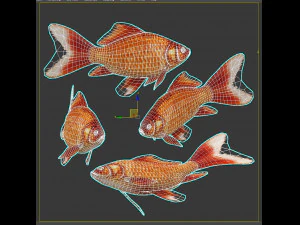 Fish Cyprinus Carpio Low-poly 3D Model