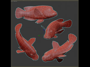 Fish Humphead Wrasse or Napoleonfish Low-poly 3D 模型