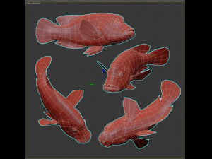 Fish Humphead Wrasse or Napoleonfish Low-poly 3D Model