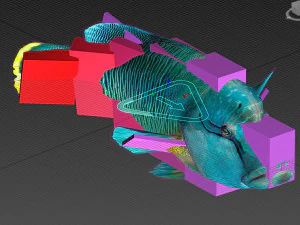 Fish Humphead Wrasse or Napoleonfish Low-poly 3D Model
