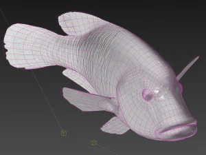 Fish Humphead Wrasse or Napoleonfish Low-poly 3D Model