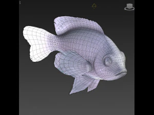 Pesce Microspathodon Chrysurus Low-poly Modello 3D