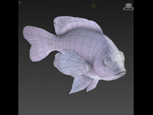 Fish Microspathodon Chrysurus Low-poly Model 3D