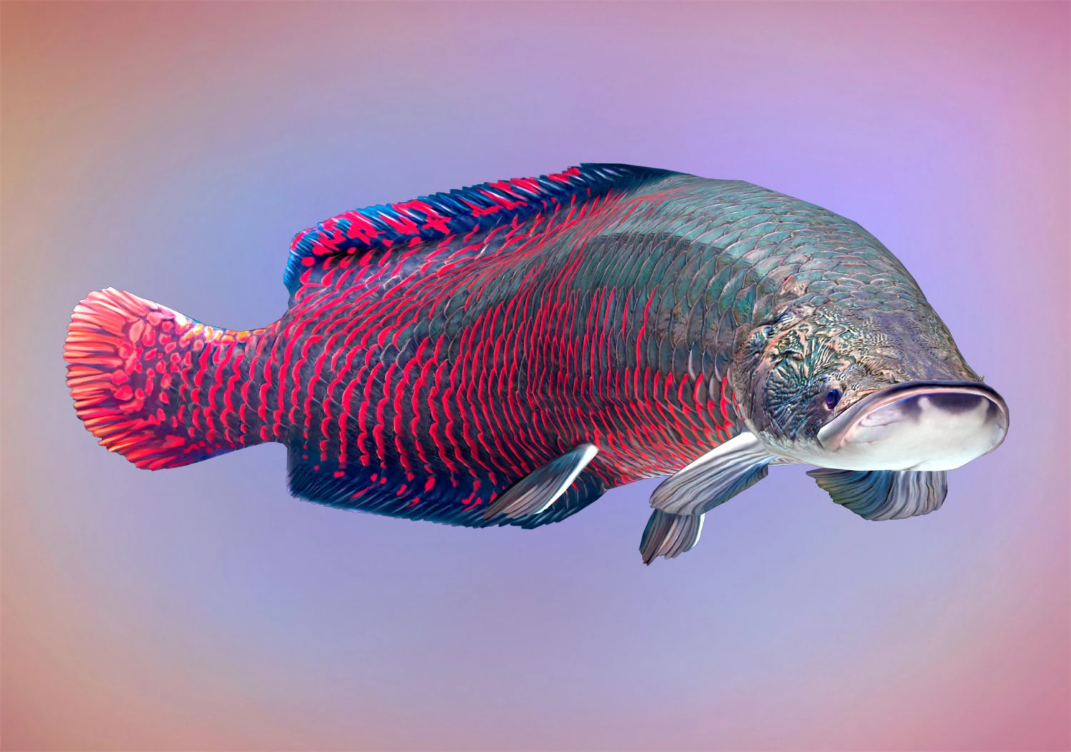 Fish Arapaima Gigas Low-poly 3D Model .c4d .max .obj .3ds .fbx .stl .blend