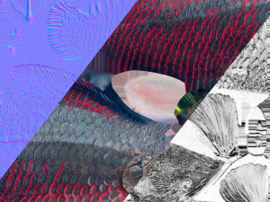 Fish Arapaima Gigas Low-poly 3D Model