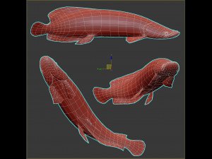 Fish Arapaima Gigas Low-poly 3D Model