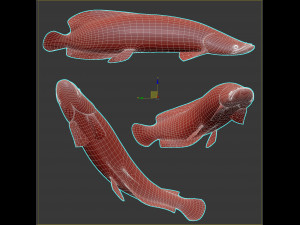 Fish Arapaima Gigas Low-poly 3D Model