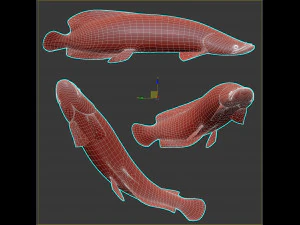 Fish Arapaima Gigas Low-poly 3D Model