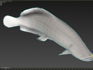 Fish Arapaima Gigas Low-poly 3D Model