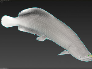 Fish Arapaima Gigas Low-poly 3D Model